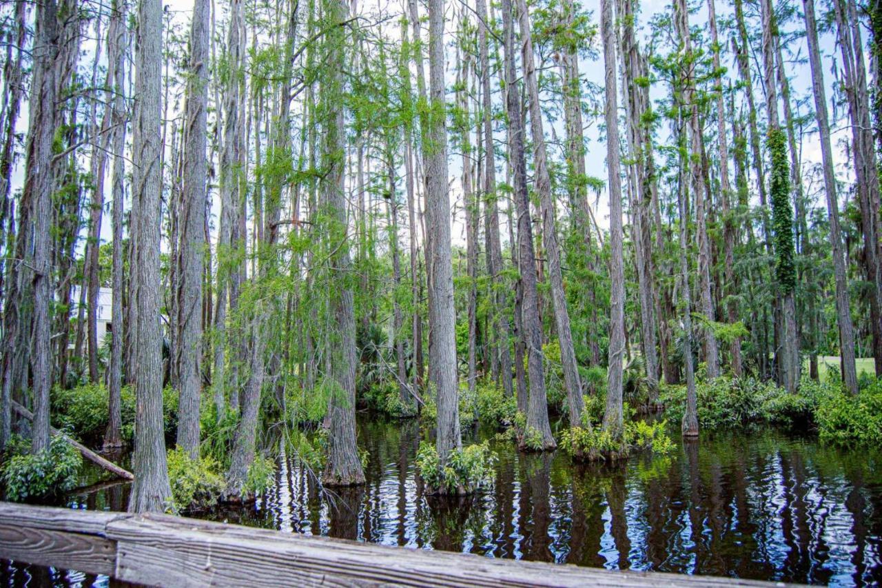 Serene Hideaway Wesley Chapel Exterior photo